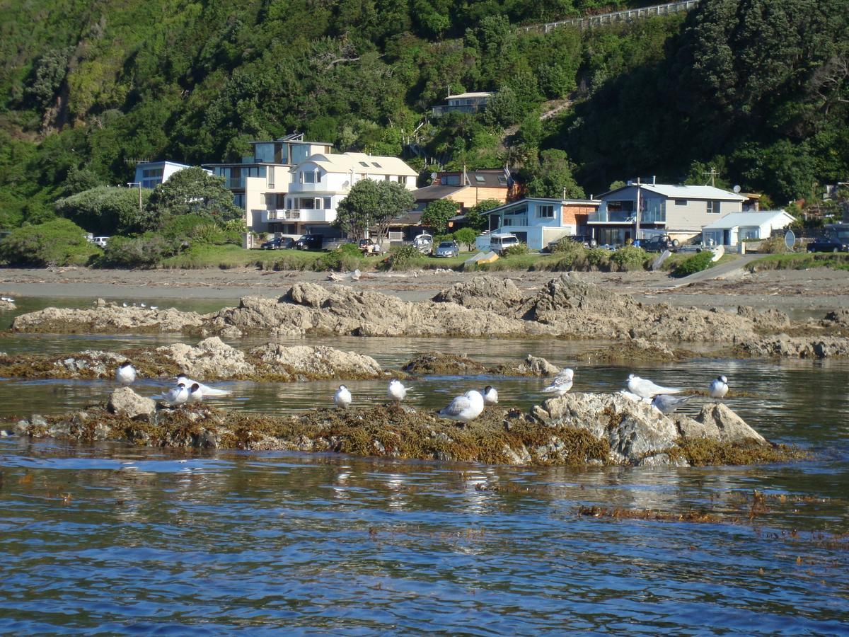 Kapiti Waves Bed & Breakfast Pukerua Bay Exterior foto